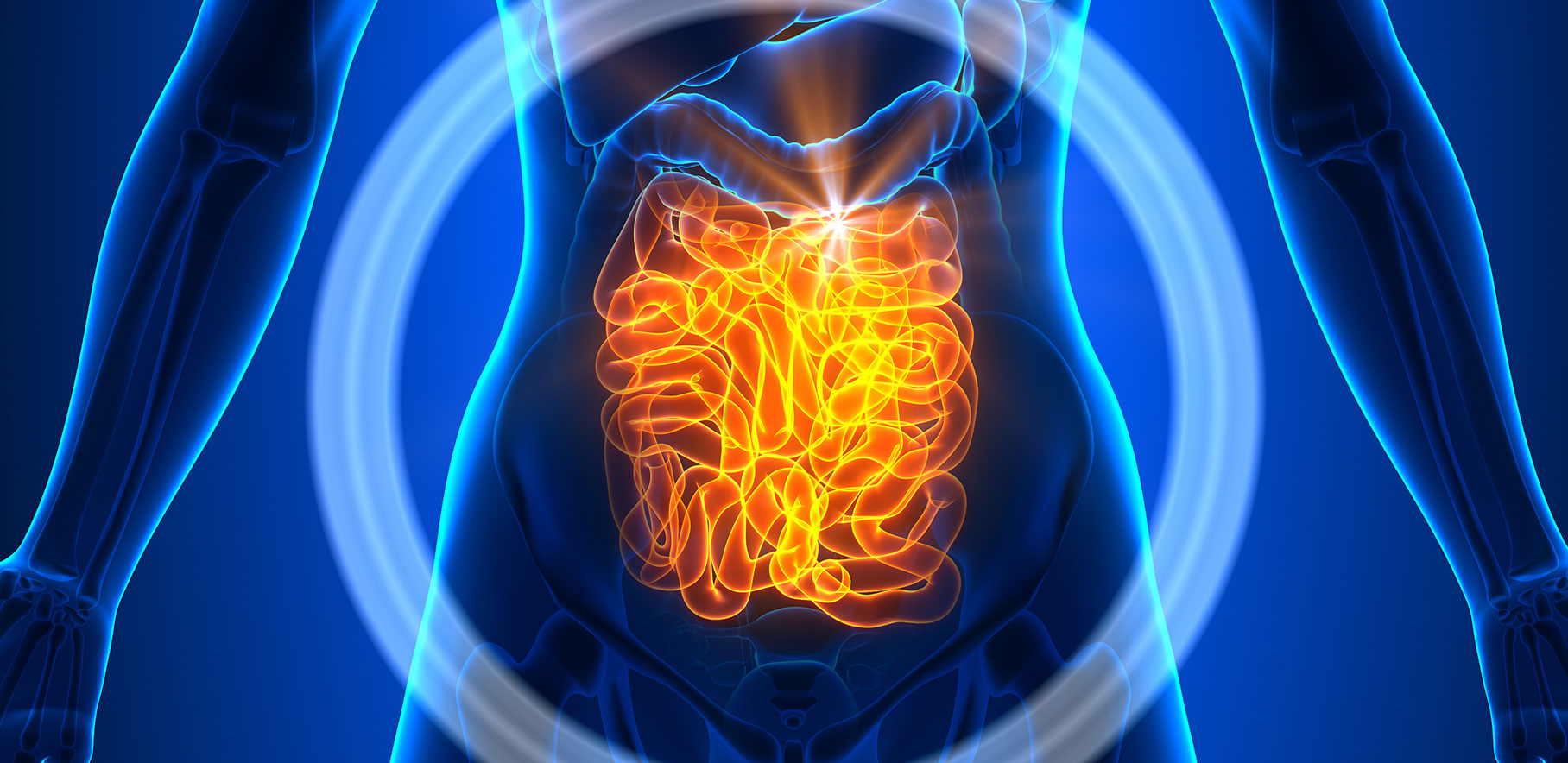 Estudos de Doença de Crohn e Retocolite Ulcerativa